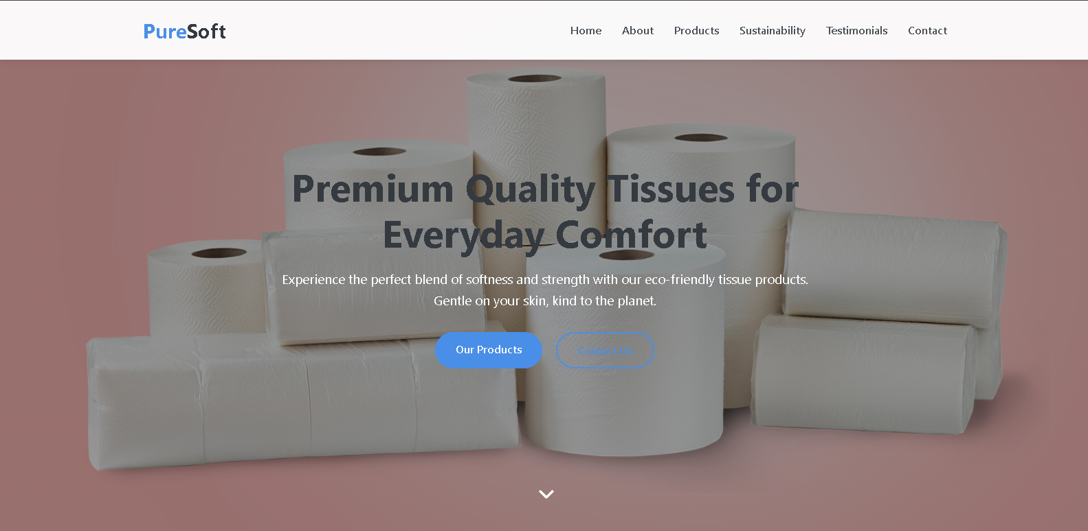 Decent Ventures LTD Website